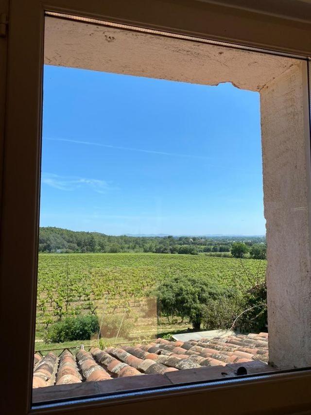 Domaine Des Fouques Villa Hyères Dış mekan fotoğraf